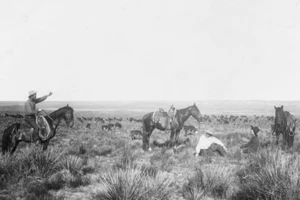 Day Herds fotografía vintage estampado artístico occidental de Giclee + envío gratuito - Imagen 1 de 3
