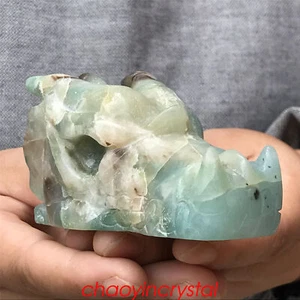 0.44LB Natural Amazonite Dragon Skull Quartz Crystal Carved Decor XK870-05-A - Picture 1 of 12