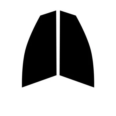 Tinte de ventana de auto precortado para mini furgoneta Clubvan 2008-14 película de tintado de ventanas delanteras - Imagen 1 de 4