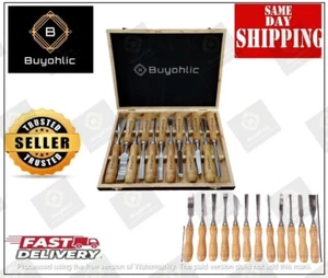 12-Pieces Woodworking Wood Chisel Carving Tool Set - Picture 1 of 8