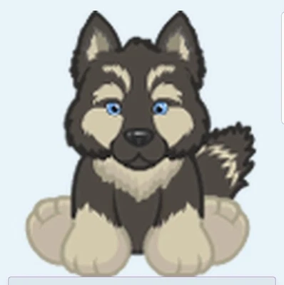 Webkinz Classic Agouti Husky RARE dog puppy wolf virtual code sent via message - Image 1 of 2