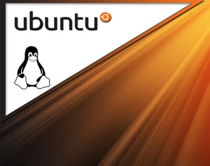 Ubuntu Linux Betriebssystem auf 32 GB USB 3.0 Stick - Bild 1 von 1