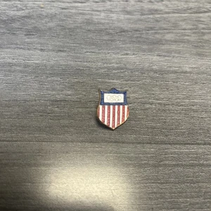 #1 USA Olympic Delegation Lapel Pin Team USA NOC - Picture 1 of 5