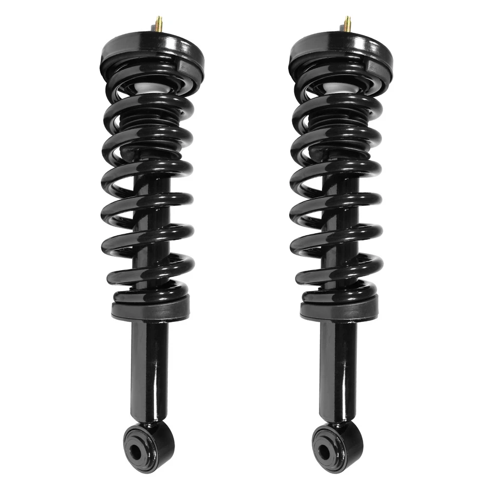 Front Complete Struts Shocks Set of 2 for 2009-2013 Ford F-150 4WD Foto 1 de 1