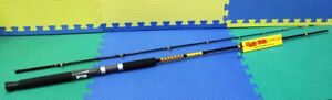 Ugly Stik Bigwater Conventional Saltwater Rod 9'0" Light 2Pc BWDR620C902 1539229
