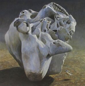 Robert Bateman Art Print Elephant Skull and Kittlitz's Plover Raft of Otters Sea