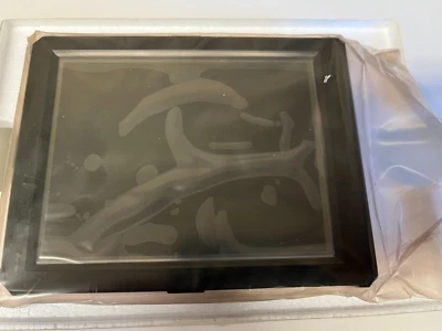 sharp lq6nc02 5.7" a-Si TFT-LCD Panel for SHARP 240 x 720 dot NEW - Image 1 of 2