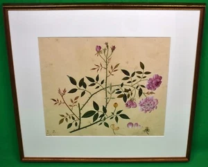 "Monatliche Rose Chinesisches Hand-Aquarell Gemälde 19. Jh." - Bild 1 von 5