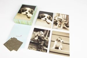 PAPYRUS Boxed Cards Puppies 19 Note Cards and Envelopes 4 Designs - Picture 1 of 8