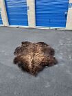 Real Buffalo / Bison Fresh Tanned  Taxidermy Rug Hide Brand New
