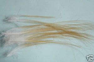12 x plumes SPEY HACKLE montage AMBRE mouche saumon fly tying salmon - Photo 1/1