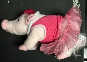 Prissy & Pop entzückendes Mini Schwein - Bild 1 von 5