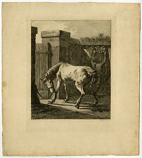 Antique Master Print-GENRE-HORSE IN COURTYARD-Langendijk-Bemme-1802