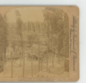 Gesamtansicht Schwimmende Gärten Mexiko Unterholz Stereoview - Bild 1 von 2