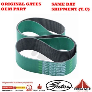 Gates V-Ribbed Belt - 8555-0369 - Picture 1 of 1
