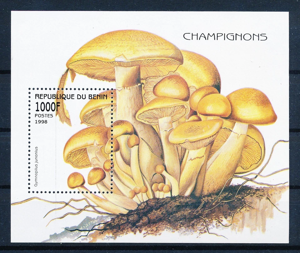 LS63322 Benin 1998 fungi plants mushrooms good sheet MNH - Image 1 of 1
