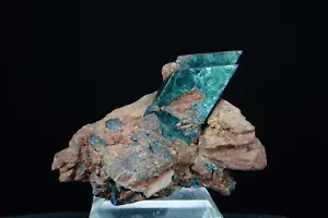 Vivianit / Tomokoni Mine, Bolivien / Fine Mineral Specimen - Bild 1 von 5