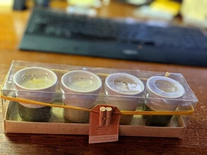 Pier 1 Importaciones 4 Piezas Velas Votivas Regalo Juego en Caja Hierba Figura Cítricos Bambú ¡NUEVO! - Imagen 1 de 7