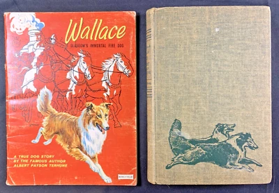 Wallace: Glasgow's Immortal Fire Dog 1963 PB & HC - Albert Terhune TRUE STORY - Image 1 of 4