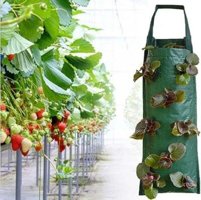 4/8 Pockets Hanging Garden Grow Bag Veg Planting Strawberry Tomato Planter Pot - Image 1 of 4