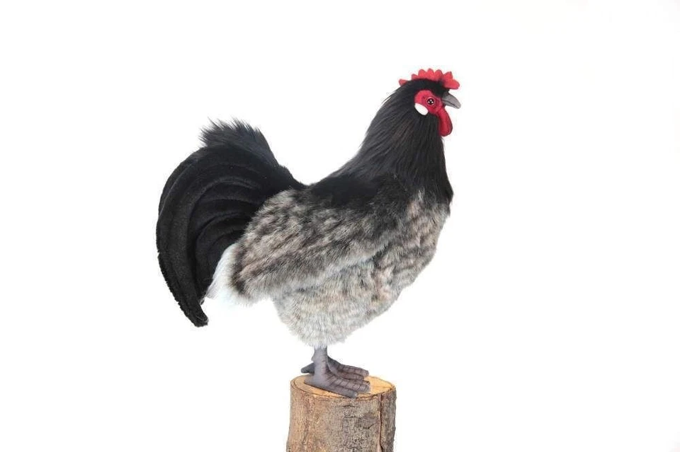  Hansa Toy 6037 Schwarzes Huhn Henne 30 cm Kuscheltier Stofftier Plüschtier - Bild 1 von 1