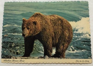 Alaskan Brown Bear. Postcard (N2) - Picture 1 of 2