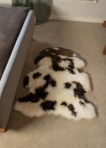 New Zealand Dyed Jacob Sheepskin Natural and Brown Luxury Premium Lambskin Rug - Picture 1 of 3