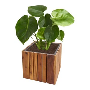 Pflanzkasten HWC-L24, Pflanzkübel Blumentopf, 32x32x32cm Outdoor Akazie Holz - Bild 1 von 12