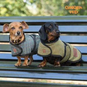 Ginger Ted Dachshund Tweed Dog Coat - fleecy lining, warm, smart, wool tweed - Picture 1 of 8