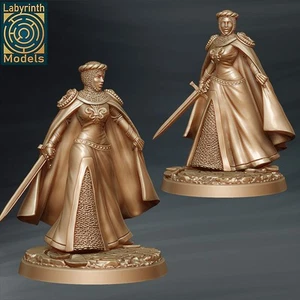 Lady Dindrane V2/TTRPG/Wargaming/Dungeons and Dragons/RPG/Labyrinth Miniatures - Foto 1 di 1