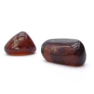 Amber Polished - Picture 1 of 5