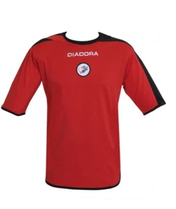 New VALENCIENNES FC Training DIADORA M size Football Shirt Running Gym Soccer - Picture 1 of 12