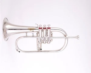 NICKEL-AUSFÜHRUNG Bb 3v FLÜGELHORN BESTE QUALITÄT INSTRUMENT FLÜGELHORN MESSING. - Bild 1 von 20