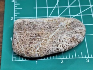 Einzigartiger Lake Superior Rock mit Spinnennetzmustern - Bild 1 von 3