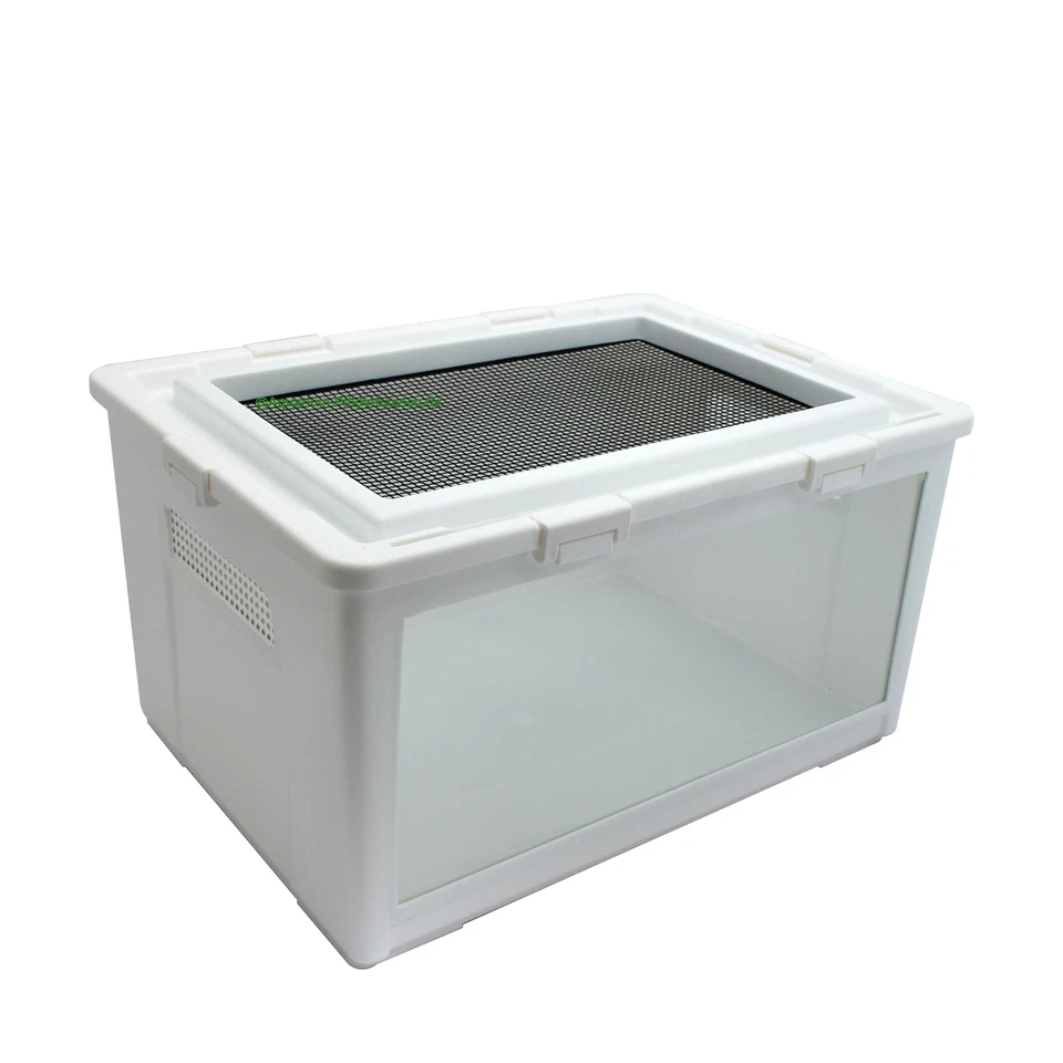 SHANGHAI LUBY Kunststoff Aufzuchtbox 50x35,5x27 cm f. Küken, Reptilien, Transport-Behälter/Box