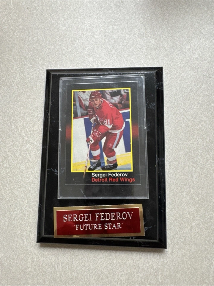 谢尔盖·费多罗夫底特律红翼图片和卡片牌匾带名称标签挂 — 第 1/1 张图片