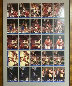 (Lotto di 25 carte) 1992-93 Skybox Franz Bread Portland Trail Blazers carte da basket - Foto 1 di 3