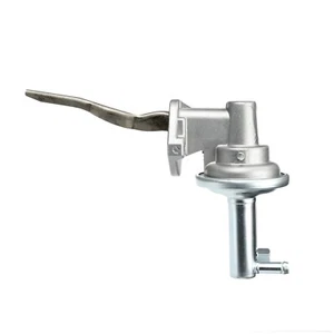 Mechanical Fuel Pump Delphi For 1972-1974 Ford Gran Torino 1973 - Picture 1 of 7