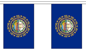 NUEVO HAMPSHIRE ESTADO DE EE. UU. BANDERÍN 9 metros 30 banderas bandera de poliéster - Imagen 1 de 1