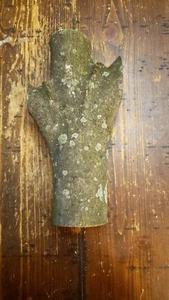 MAPLE Turning Crotch Log 9 1/4" Long M2807 - Picture 1 of 8
