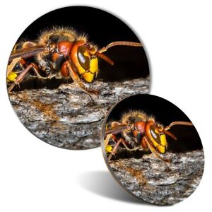 Mouse Mat & Coaster Set - Hornet Wasp Insect Sting Macro  #12565