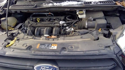 Trunk/Hatch/Tailgate Green Tint Glass Fits 17-19 ESCAPE 230458 - Image 1 of 4