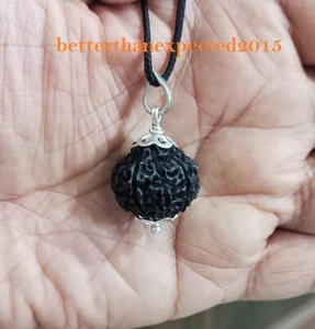 Black 10 Mukhi Rudraksha / Ten Face Rudraksh -Java Bead Size -18-20 MM-Energized - Picture 1 of 3