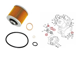 MZ Baghira Mastiff Skorpion Black Panther SM 660 Wartung Set Ölfilter Dichtringe - Bild 1 von 1