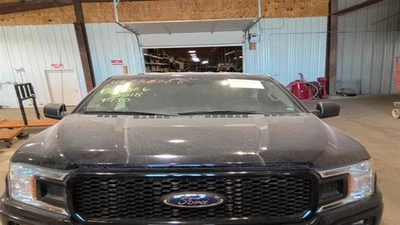 Capó para camioneta Ford F150 15-20 3554476 Foto 1 de 4