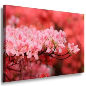 Rote Blumen Zweig Leinwandbild AK Art Bilder Mehrfarbig Kunstdruck XXL Wandbild - Bild 1 von 5