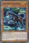 Striping Partner X3 Common Exfo-En003 Mint 1St Edition!