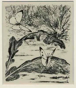 MARIPOSA Y ABEJA GATITO DE ROBLE DIENTE DE LEÓN August GAUL 2 O.Litografías 1919 - Imagen 1 de 2