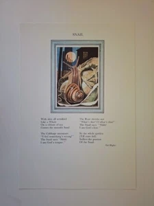 TED HUGHES GATO CUCO ANCHO POEMA R J LLOYD 1987 1/200 COPIAS CARACOL - Imagen 1 de 1
