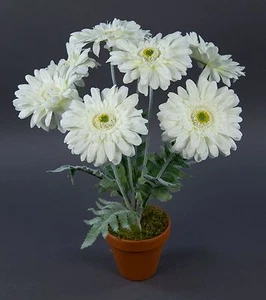 Gerbera 45cm weiß im Topf LM Kunstpflanzen künstliche Pflanzen Kunstblumen - Bild 1 von 1